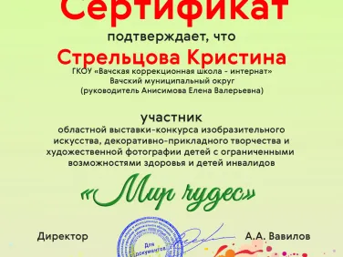 Сертификаты за участие в областном конкурсе изобразительного искусства "Мир чудес"